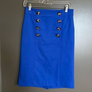 ANN TAYLOR skirt